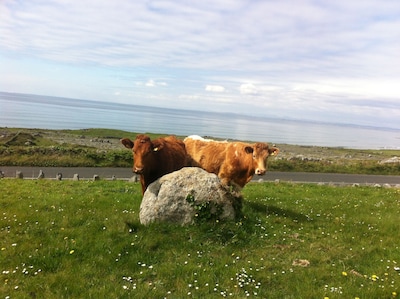 The Tackroom is a one bedroom Apartment just a short walk from Fanore Beach