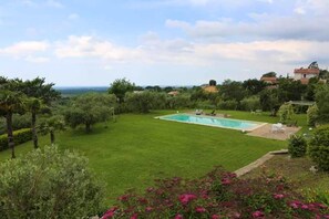 Swimming pool view