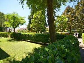 Pflanze, Grün, Natürliche Landschaft, Natürlichen Umgebung, Himmel, Baum, Botanik, Schatten, Grundstueck, Vegetation