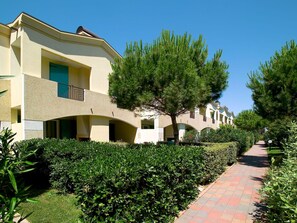 Plante, Ciel, Bâtiment, Fenêtre, Lot Terre, Ombre, Végétation, Arbre, Herbe, Suppression Des Plantes Ligneuses
