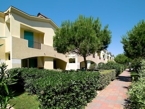 Plante, Ciel, BĂątiment, FenĂȘtre, Lot Terre, Ombre, VĂ©gĂ©tation, Arbre, Herbe, Suppression Des Plantes Ligneuses