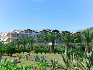Vegetation, Resort, Babassupalme, Urlaub, Grundeigentum, Pflanze, Gebäude, Baum, Palme, Tropen