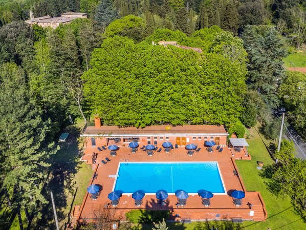 Plante, La Nature, Arbre, Végétation, Herbe, Design Urbain, Piscine, Paysage, Arbuste, Loisir
