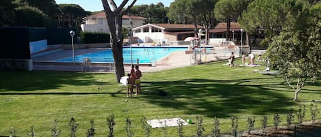 Planta, Cielo, Agua, Propiedad, Edificio, Árbol, Sombra, Botánica, El Terreno Del Lote, Piscina