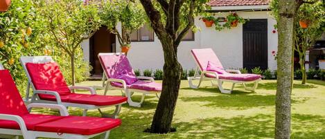 Plant, Furniture, Property, Tree, Outdoor Furniture, Shade, Window, Grass, Leisure, Public Space