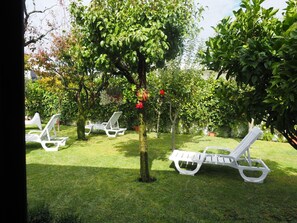 Pflanze, Möbel, Gartenmöbel, Natürliche Landschaft, Gras, Schatten, Freizeit, Baum, Tisch Im Freien, Stuhl
