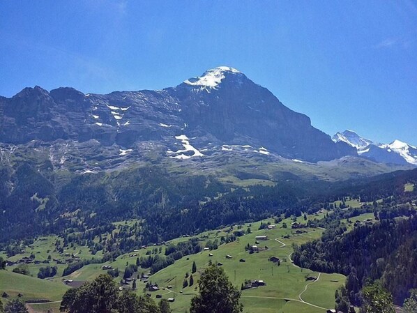 Aussicht Sommer