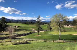 View of the 17th Green from Eagles Nest