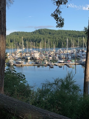 Marina view
