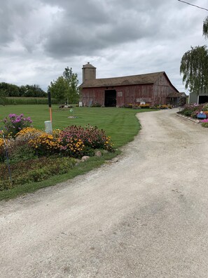 Driveway entrance. Watch the birds, deer and butterflies.