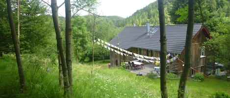 Blick von unserem bewaldeten Berg und Feuerplatz aufs Haus. Wildblumen überall