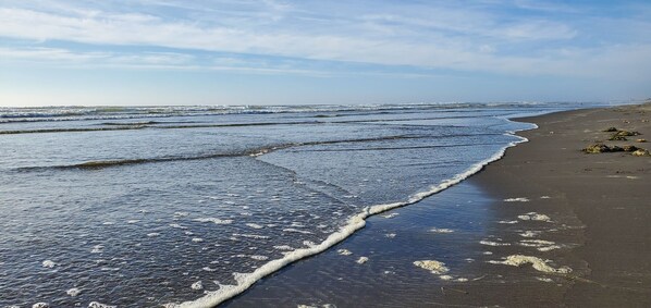 28 miles of beach driven, surf perch fishing