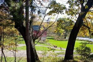 Boendeområde