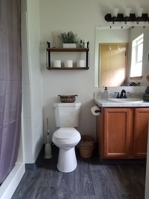 Master bathroom