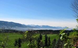 Aussicht vom Balkon