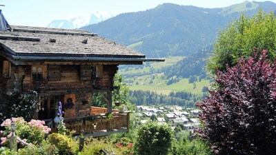 PAYS DU MONT-BLANC - STUDIO PLEIN SUD