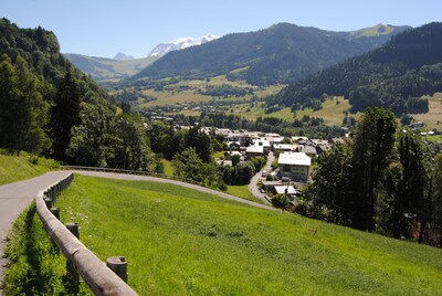 PAYS DU MONT-BLANC - STUDIO PLEIN SUD