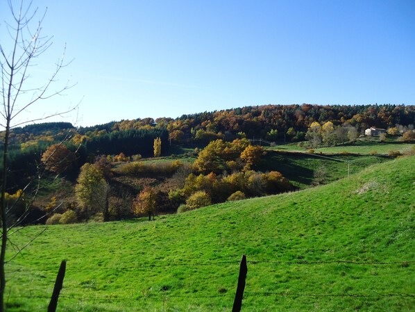 Hiking