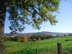 Hiking