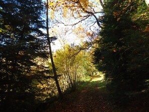 Hiking