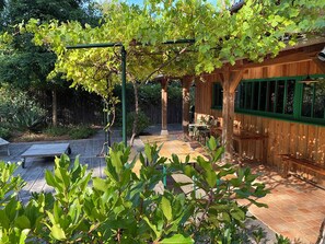 Terassi/patio