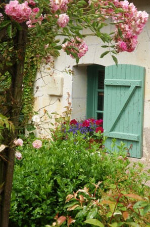 Entance viewed from scented courtyard garden.
