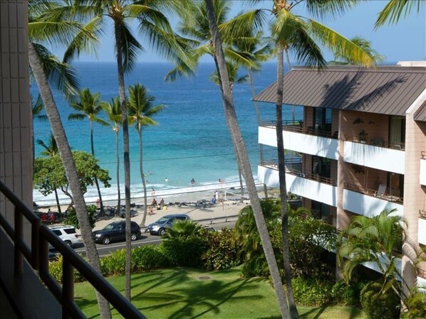 Enjoy watching the whales and hearing  the waves from your lanai