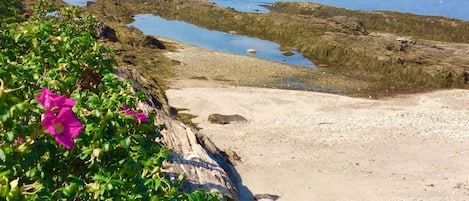 Spiaggia