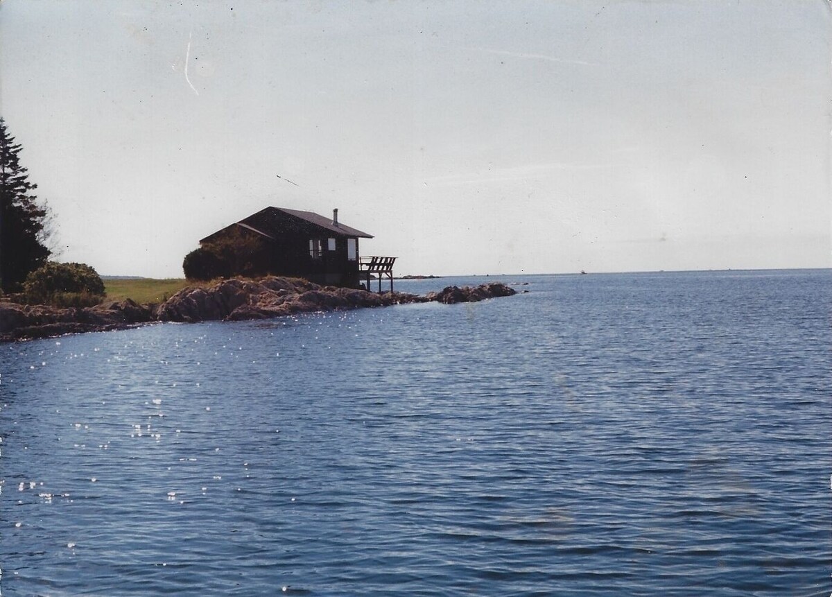 Main Image