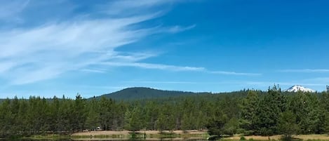 Best view in Sunriver!  Look out over Lake Aspen from the living room.