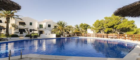 Gran piscina adultos y para niños 