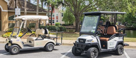 2 Golf Carts