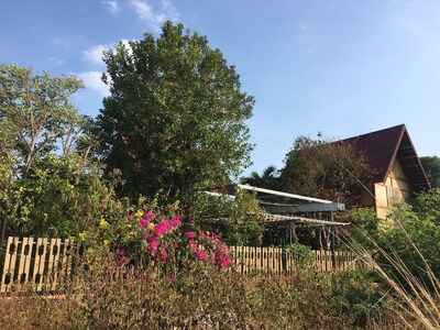 Picture of villa