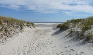 Playa