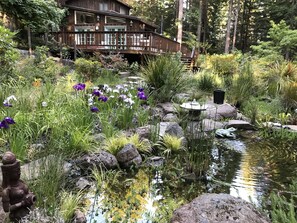 SPRING Huckleberry Woods View of Zen Pond and West Deck