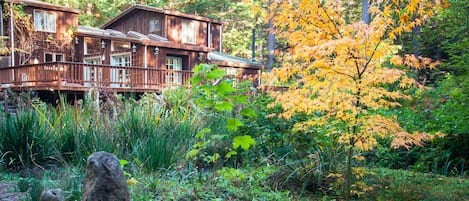 FALL Huckleberry Woods Country Home hundreds of Majestic Redwoods