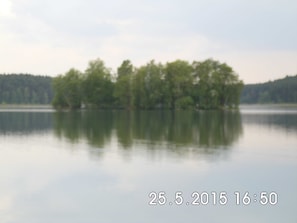 See