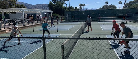 Eight Very  nice pickleball courts.

