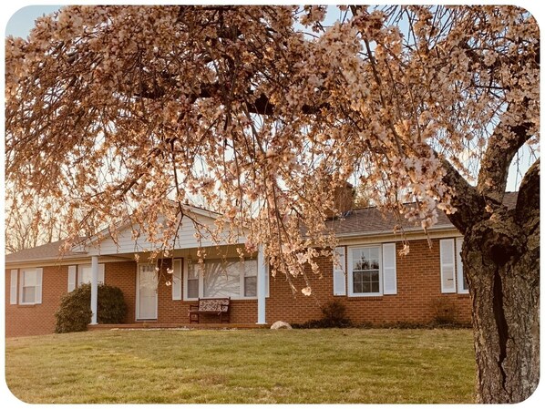 Beautiful Ranch home with spacious front yard