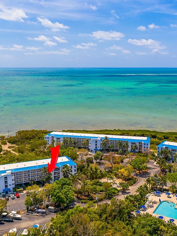 Property is steps from the pool
