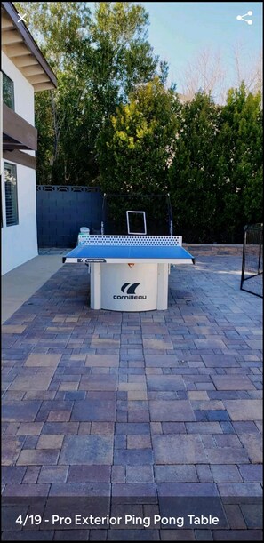 Ping Pong Table