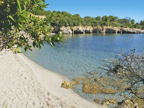Plan D'Eau, L'Eau, Ressources En Eau, Végétation, Rive, Arbre, Banque, Région Sauvage, Mer, Lac
