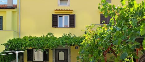 Plante, Bâtiment, Fenêtre, Propriété, Nuage, Ciel, Maison, Jaune, Végétation, Quartier