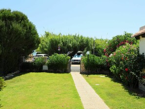 Garten, Eigentum, Rasen, Gras, Strauch, Haus, Garten, Baum, Grundeigentum, Botanik