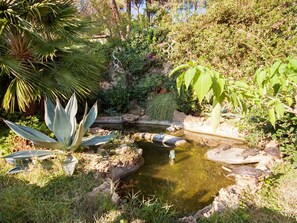 Plante, Communauté Des Plantes, Fleur, Terrestre Des Plantes, Paysage Naturel, Plan D'Eau, L'Eau, Herbe, Arecales, Arbuste