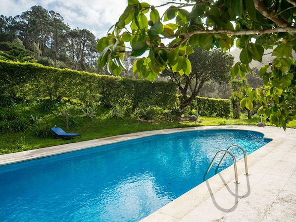 L'Eau, Plante, Propriété, Piscine, Ciel, Bleu Azur, Ombre, Paysage Naturel, Arbre, Nuage