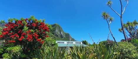 Vue sur le jardin