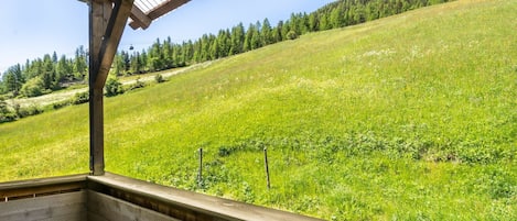 Plant, Sky, Daytime, Property, Plant Community, Ecoregion, Leaf, Natural Environment, Tree, Wood