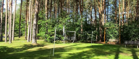 Træ, Naturlige Landskab, Natur, Naturligt Miljø, Skov, Ejendom, Græs, Naturreservat, Lund, Woodland