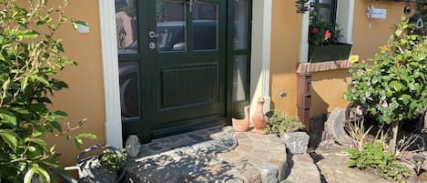 Plant, Window, Building, Flowerpot, Door, Road Surface, Grass, Brickwork, House